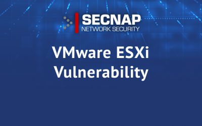 VMware ESXi Vulnerability